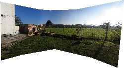 Click to see 2_051211_tree.jpg