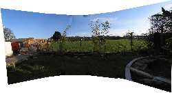 Click to see 2_060225_tree2.jpg